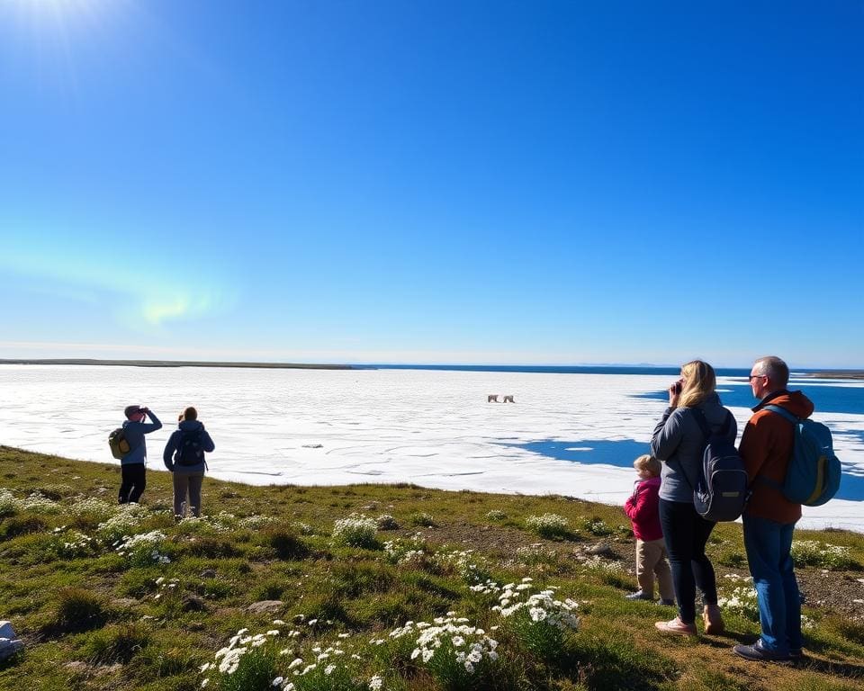 Tipps für Naturtouren in Churchill