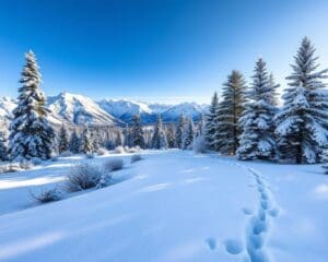 Die besten Wanderwege für aktive Wintertage