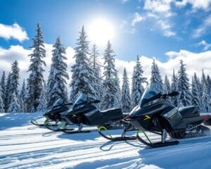 Elektrische Schneemobile: Leise durch den Schnee