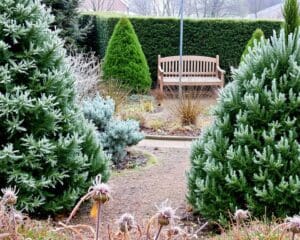 Wie machst du deinen Garten auch im Winter attraktiv?