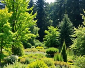 Welche Baumart ist optimal für Waldgärten?
