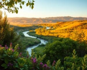 Wie schützt man das Herz natürlich?