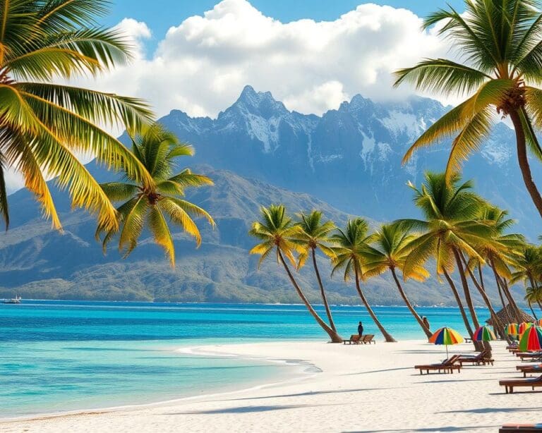 Welche Inseln sind perfekt für den Winterurlaub?