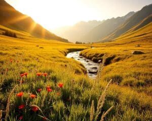 Wie erleben Sie inspirierende Naturmomente?